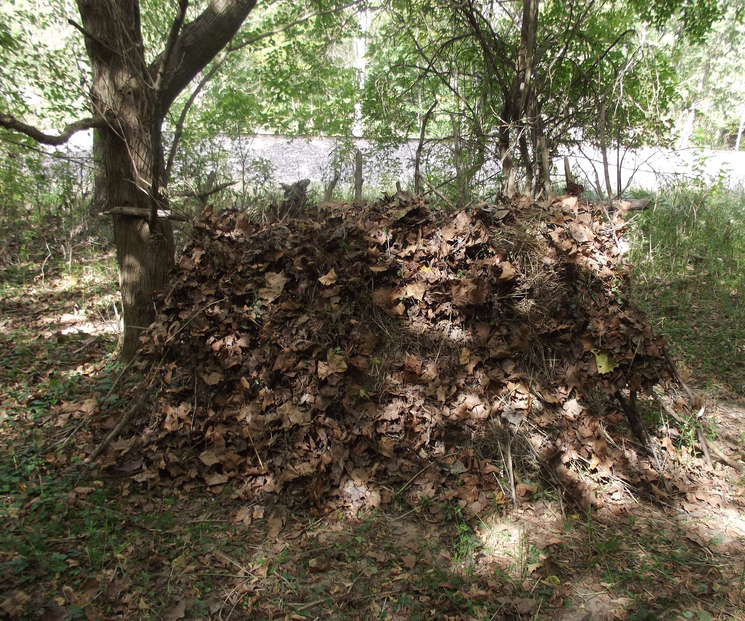 Make a Sorta-Epic Survival Shelter!!!