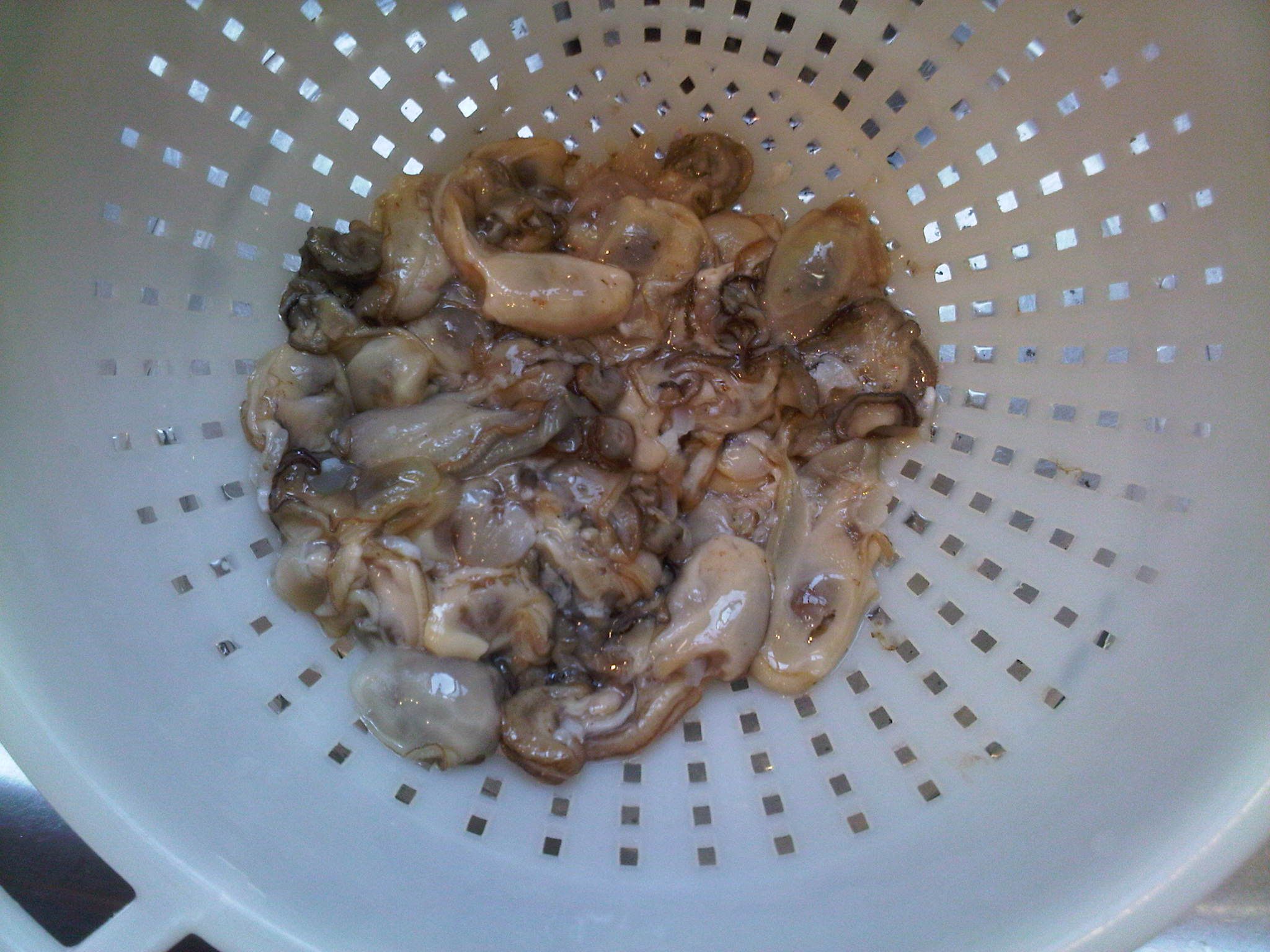 How to Smoke Oysters at Home 4 Steps (with Pictures) Instructables