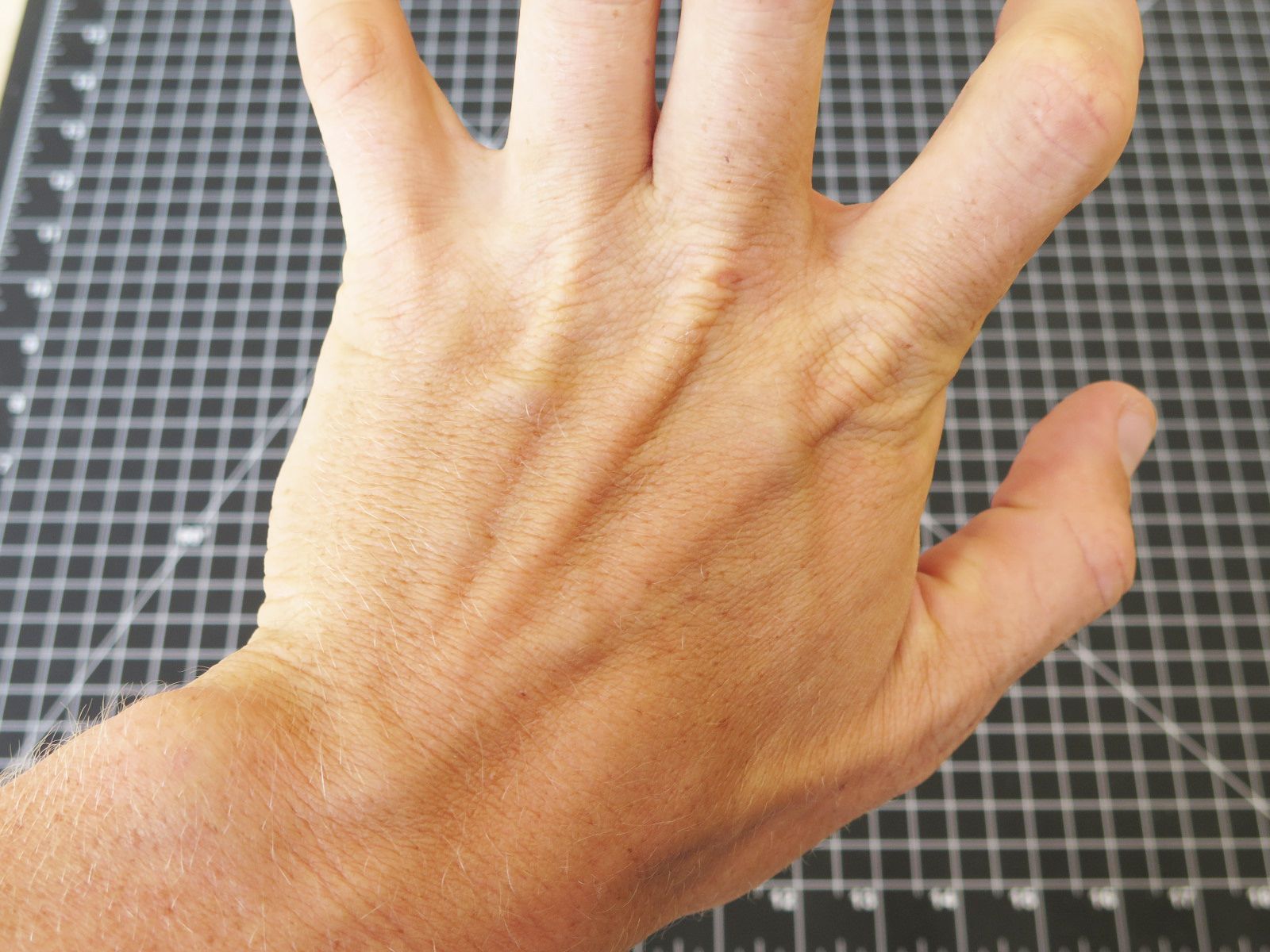 Chicken Foot Dissection 7 Steps Instructables