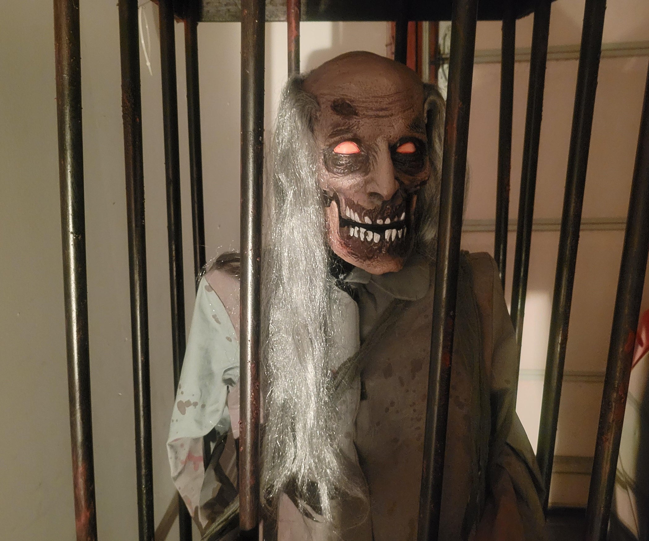 Cage essay competition 08 picture