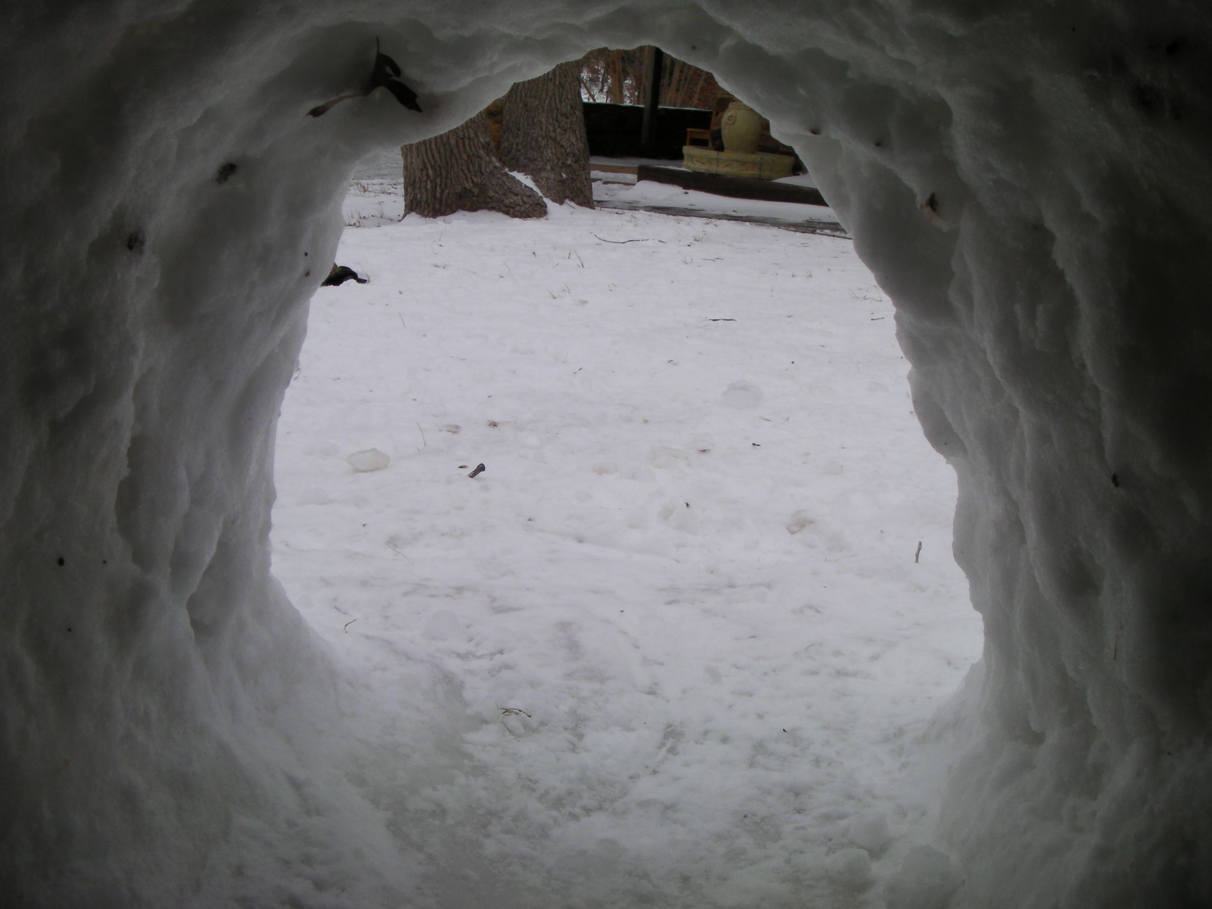 How to Make a Backyard Igloo With Powdery Snow 5 Steps (with Pictures