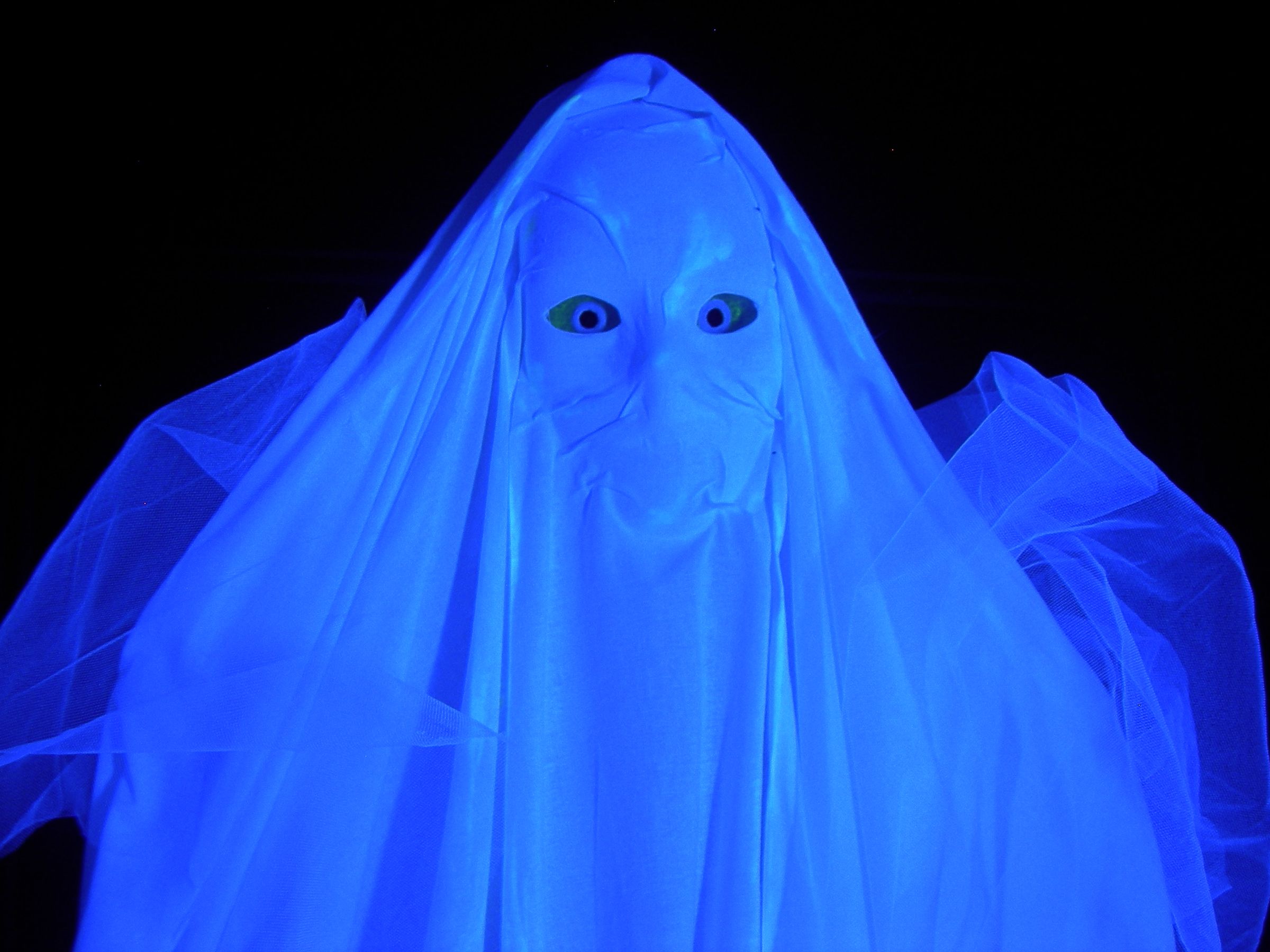 Tracking Ghost Door Decor (super Easy) 3 Steps (with Pictures