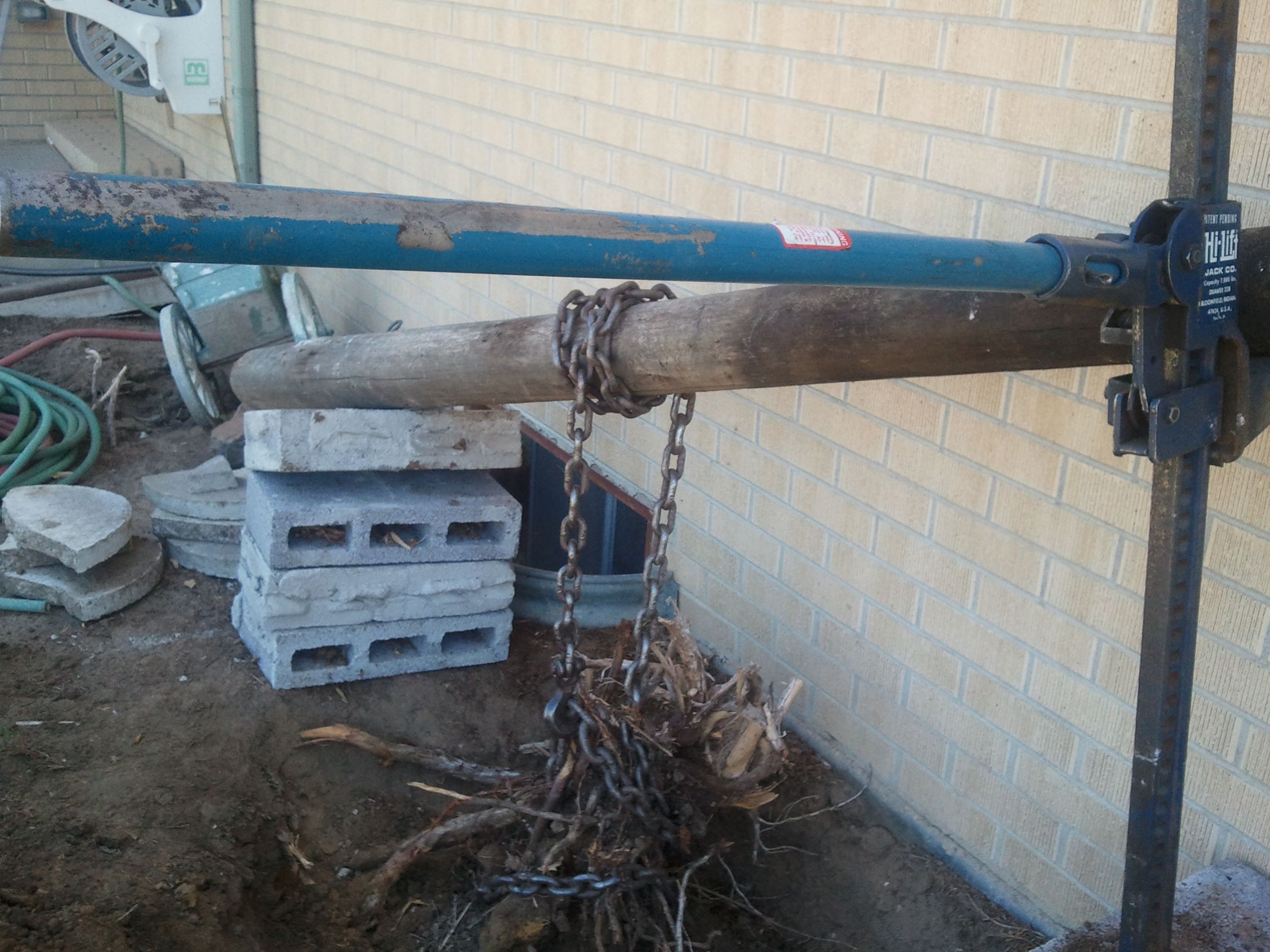 Juniper and Large Stump Removal Instructables