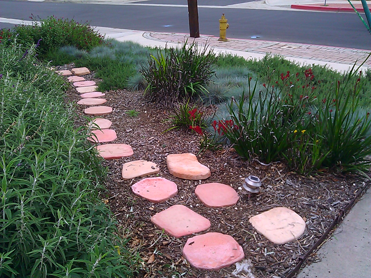 Smother And Replace Your Lawn With Mulch 10 Steps With Pictures Instructables