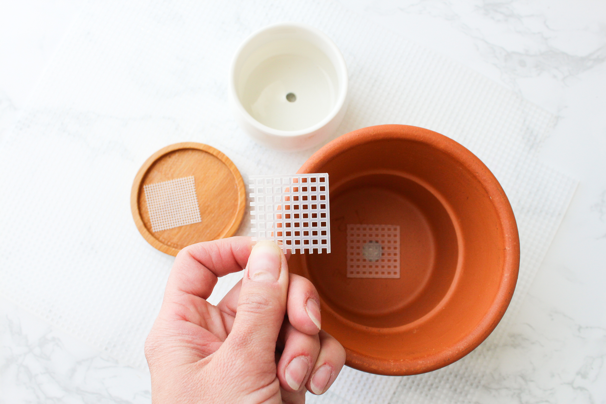 How to Repot Container Plants 8 Steps (with Pictures) Instructables