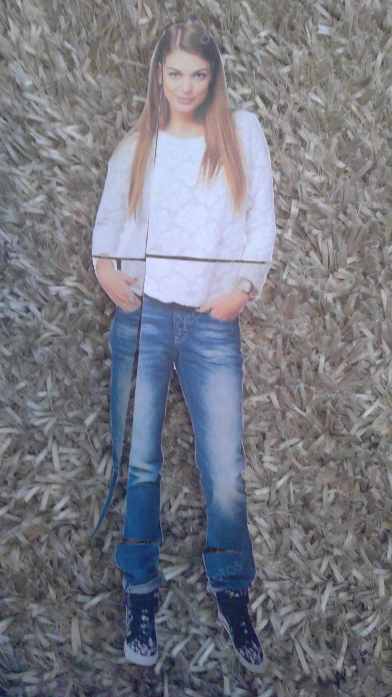 How to Make a Cardboard Cutout 11 Steps Instructables