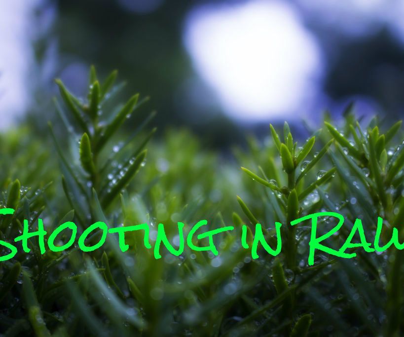 A Complete Beginner's Guide to Raw Files and Raw Processing