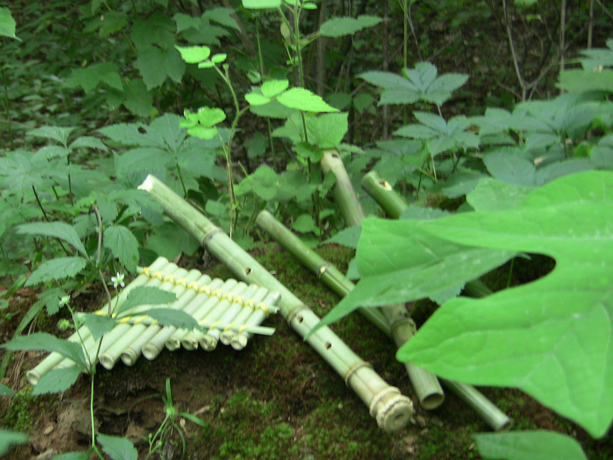 Make 4 Easy Bamboo Flutes for Free! 7 Steps (with Pictures