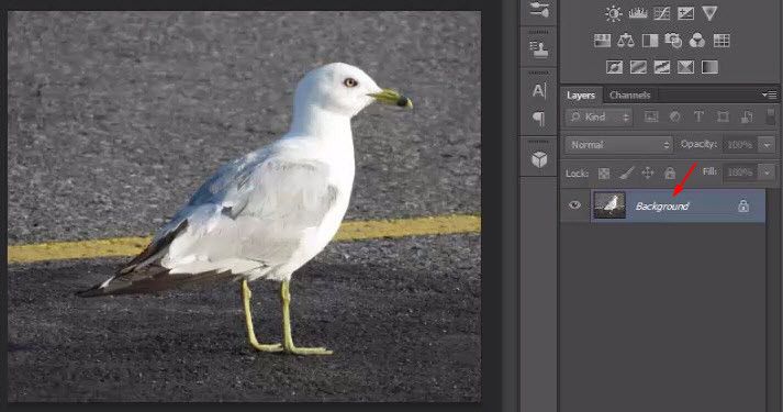 Photoshop Cs6 Create Rounded Corners In Photo 9 Steps Instructables