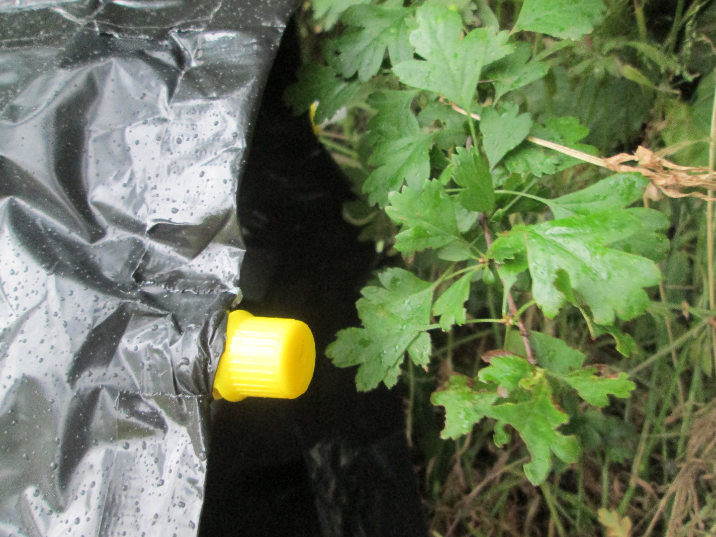 Survive Without Style the Ultimate Garbage Bag Shelter 9 Steps