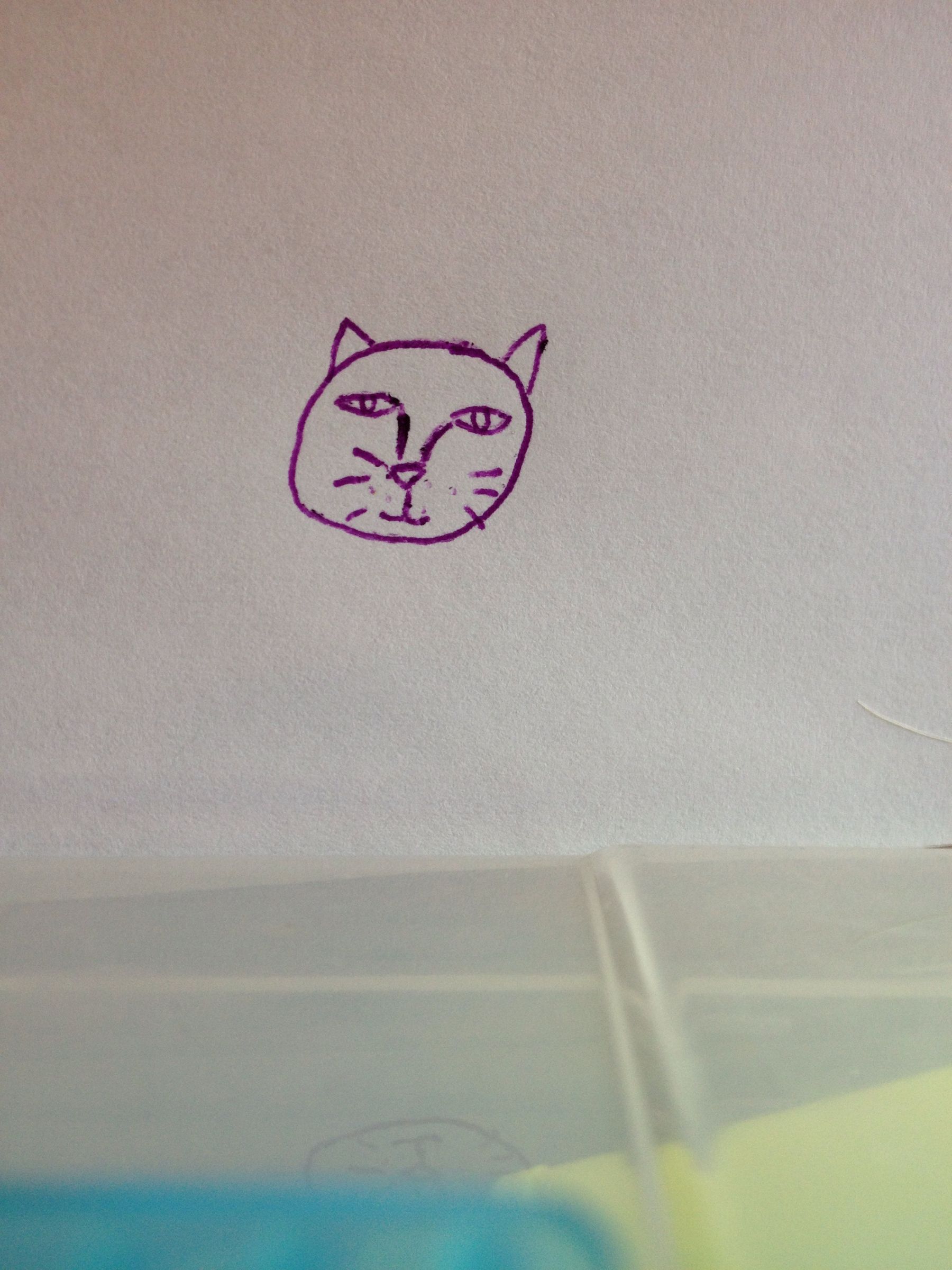 How To Draw A Simple Cat 12 Steps Instructables