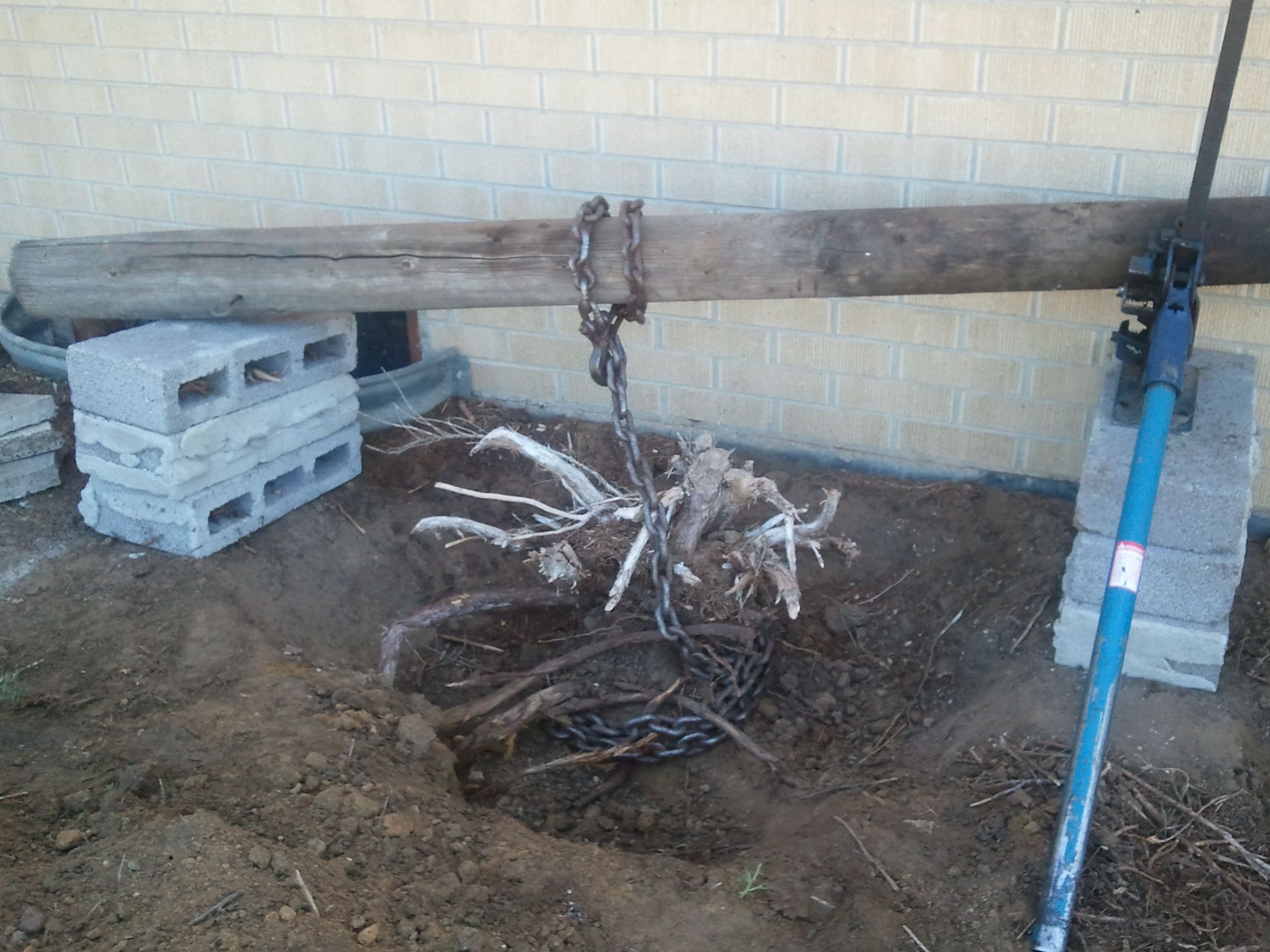 Juniper and Large Stump Removal Instructables