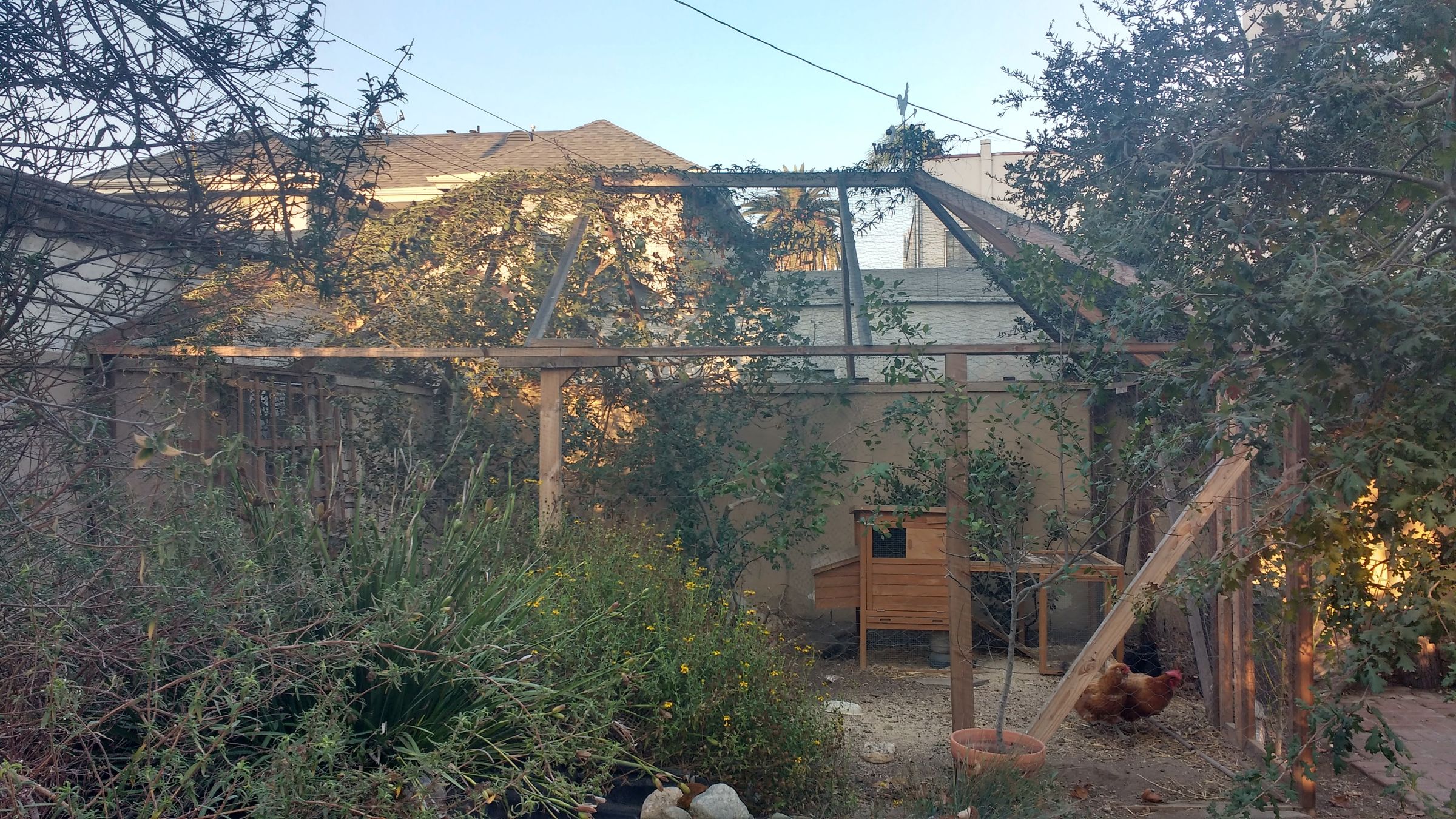 Walkin Open Air Chicken Coop 16 Steps (with Pictures) Instructables