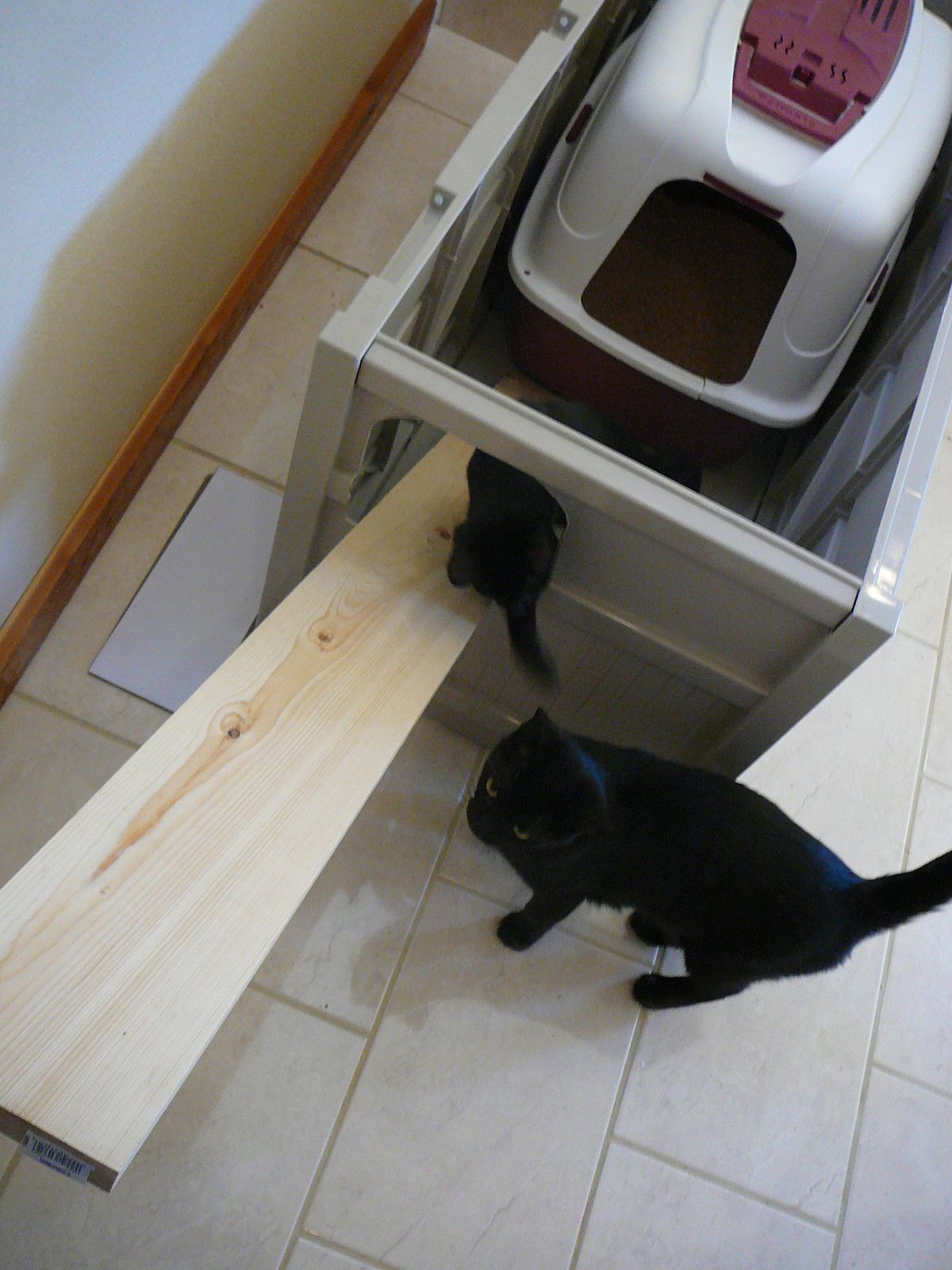 kitty box ramp