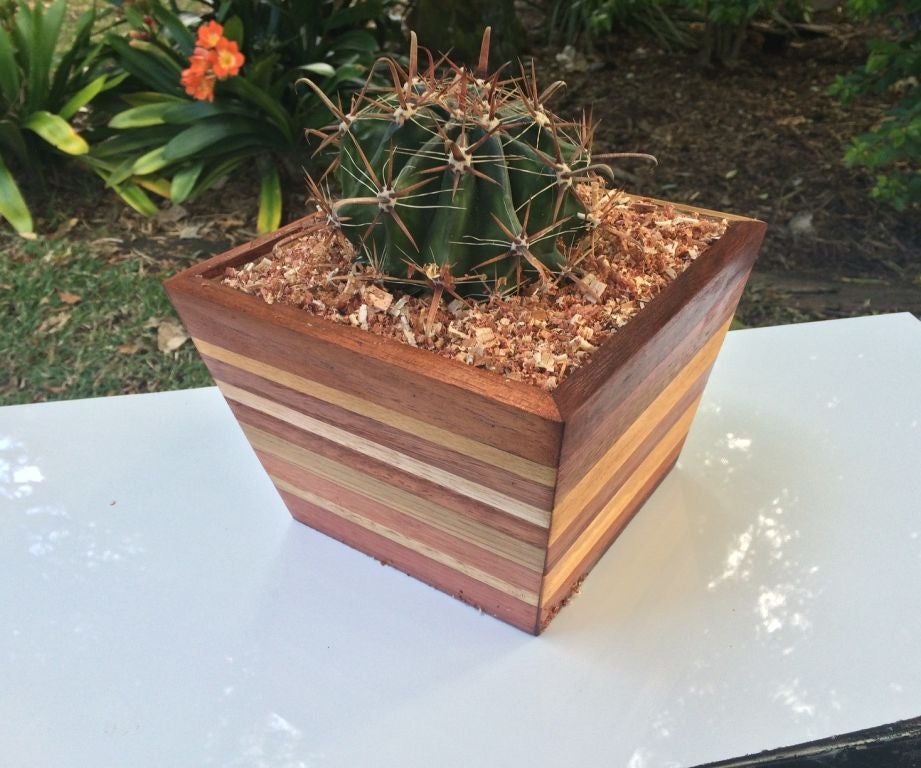 Scrap Wood Pot Plant 13 Steps (with Pictures) Instructables