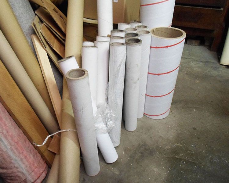 types of tropical fish