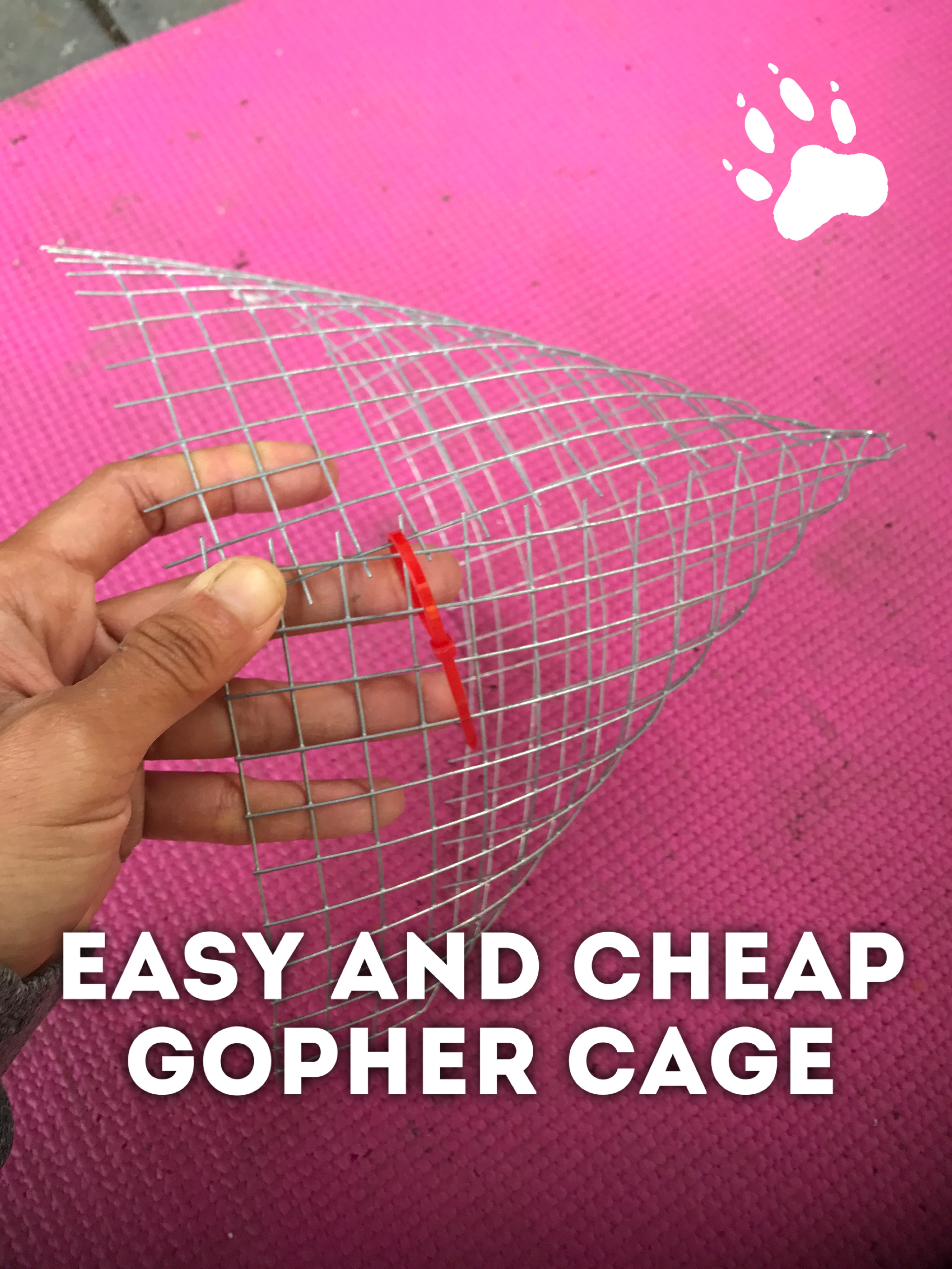 Easy and Cheap Gopher Cage 5 Steps (with Pictures) Instructables