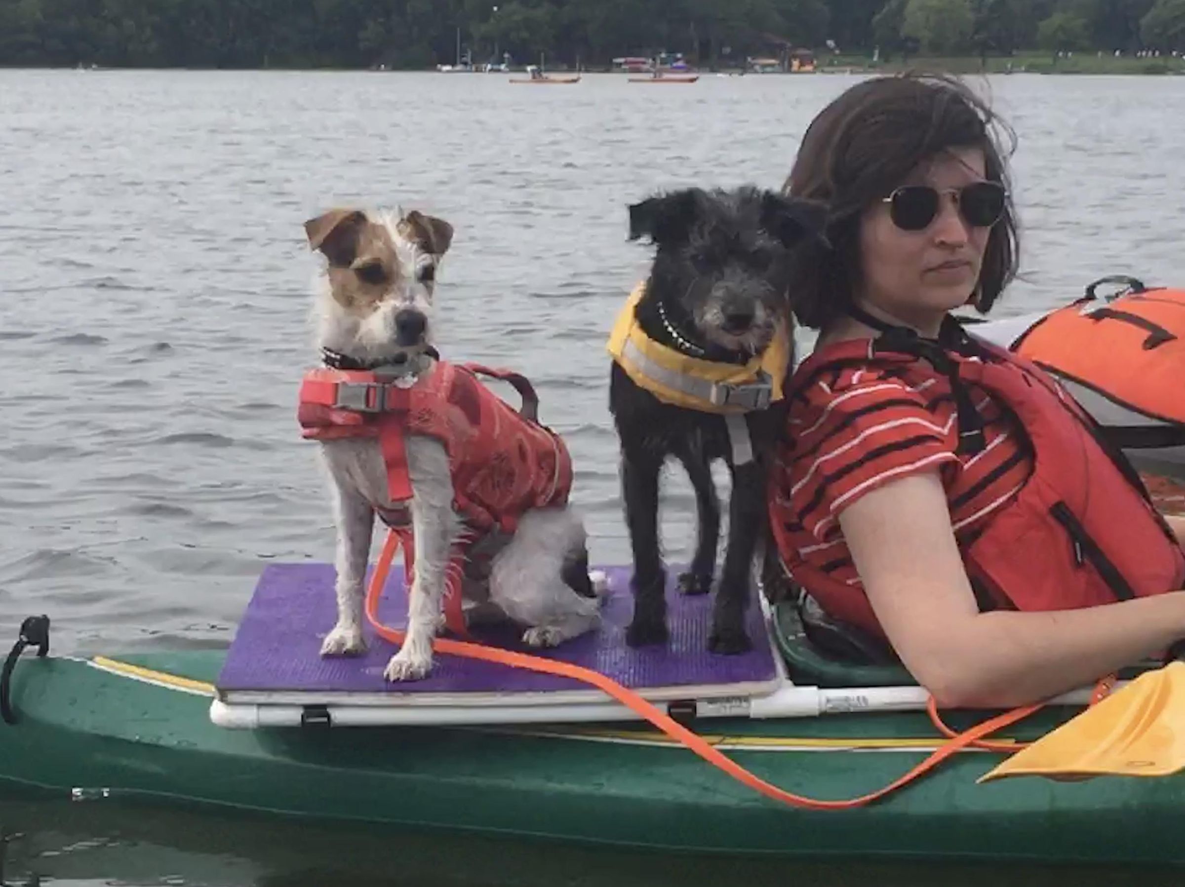 Kayak Dog Platform 3 Steps (with Pictures) Instructables