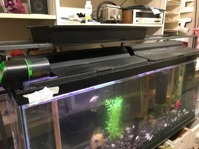 aquaponics for everyone 18 steps