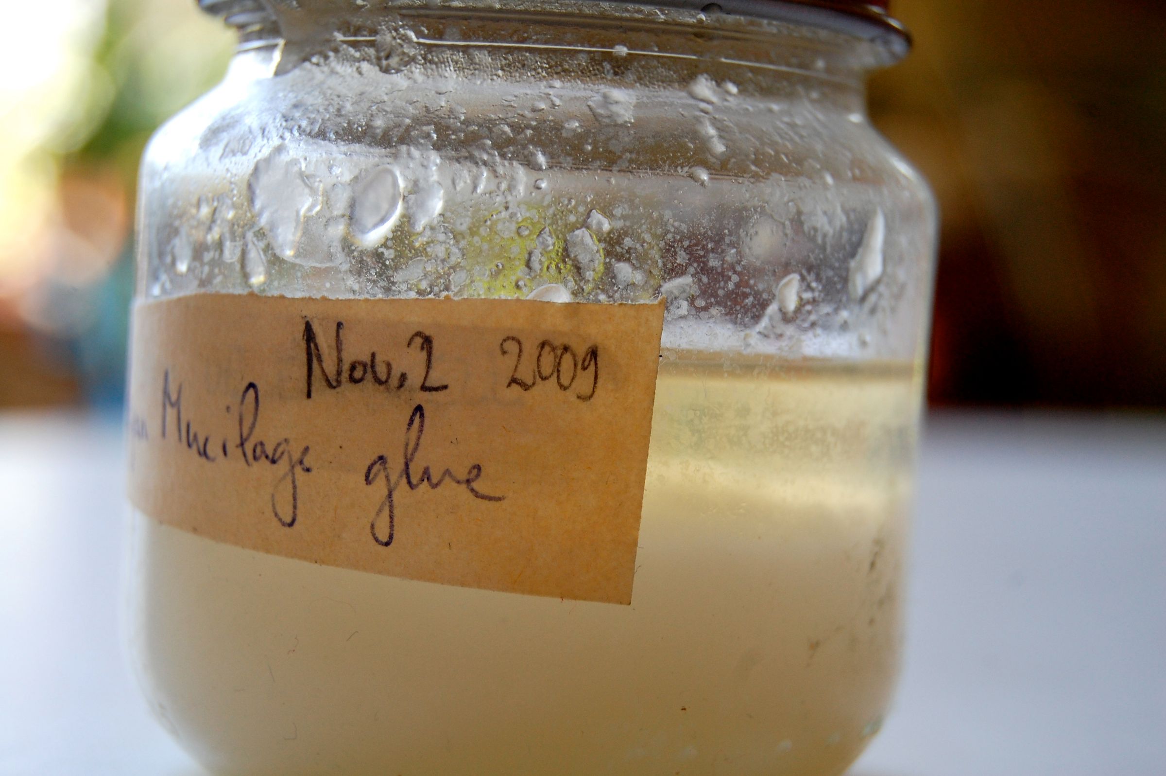 Make Your Own Glue 5 Steps (with Pictures) Instructables