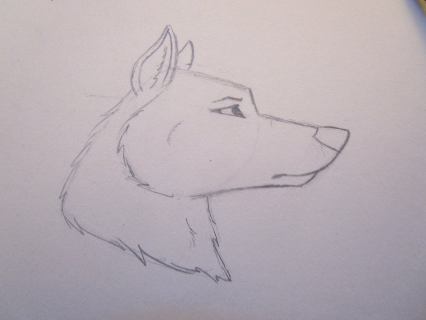 How To Draw A Wolf Head : 15 Steps - Instructables