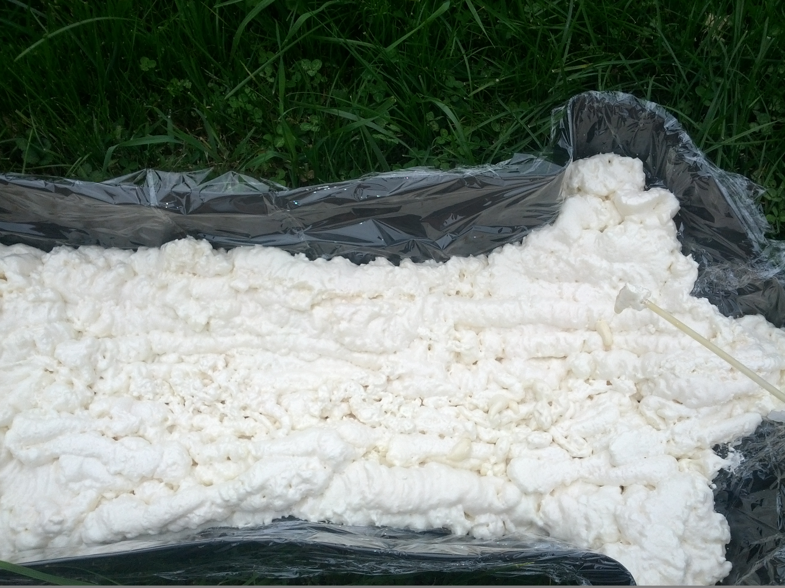 Making Your Very Own Friend! or at Least a Foam Dummy... 6 Steps