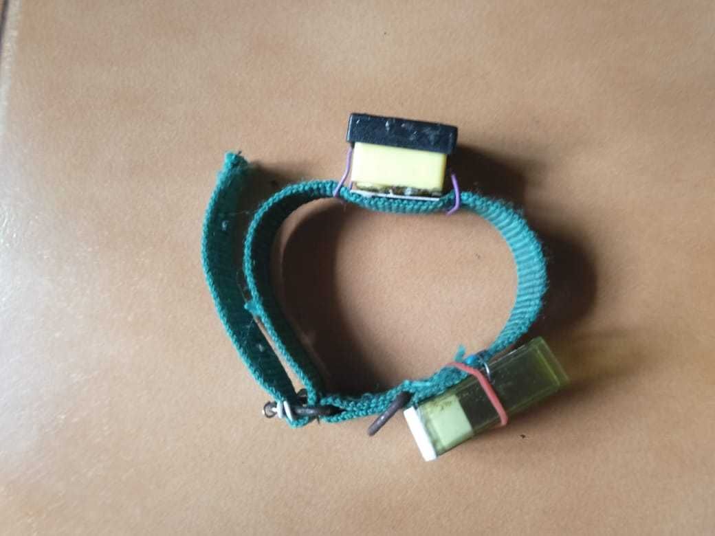 lora dog tracker
