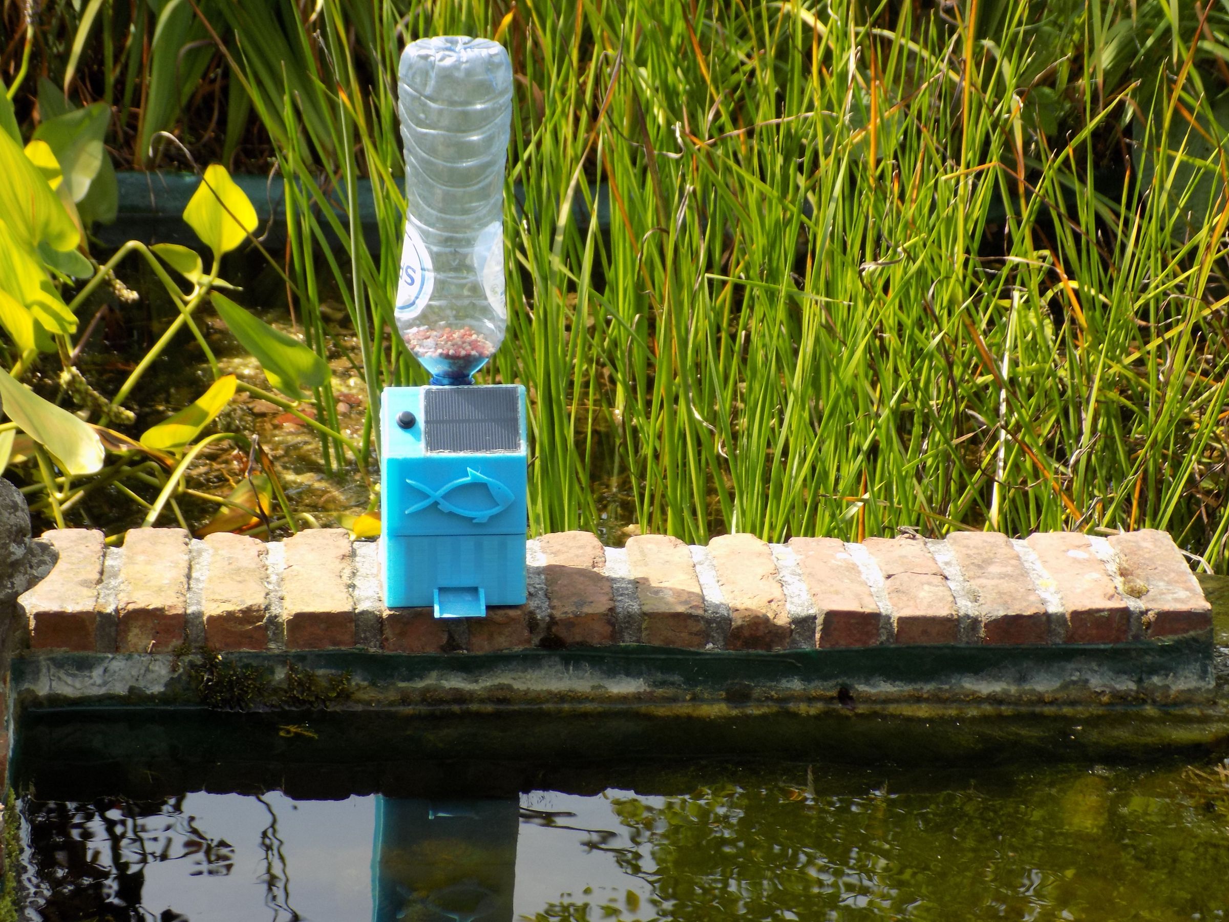 fish pond feeder