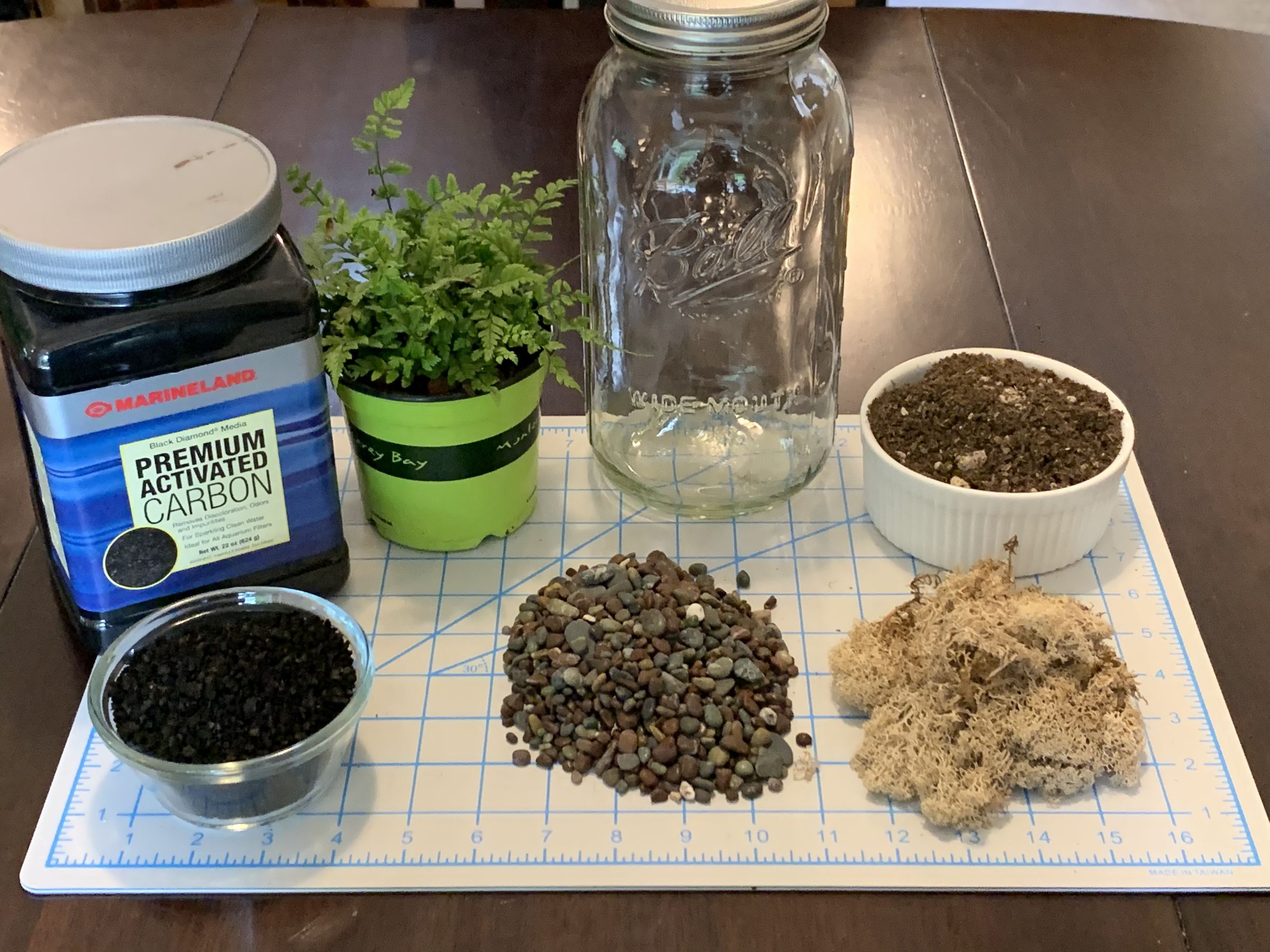 DIY Sealed Terrarium (3 Steps With Pictures) 3 Steps Instructables