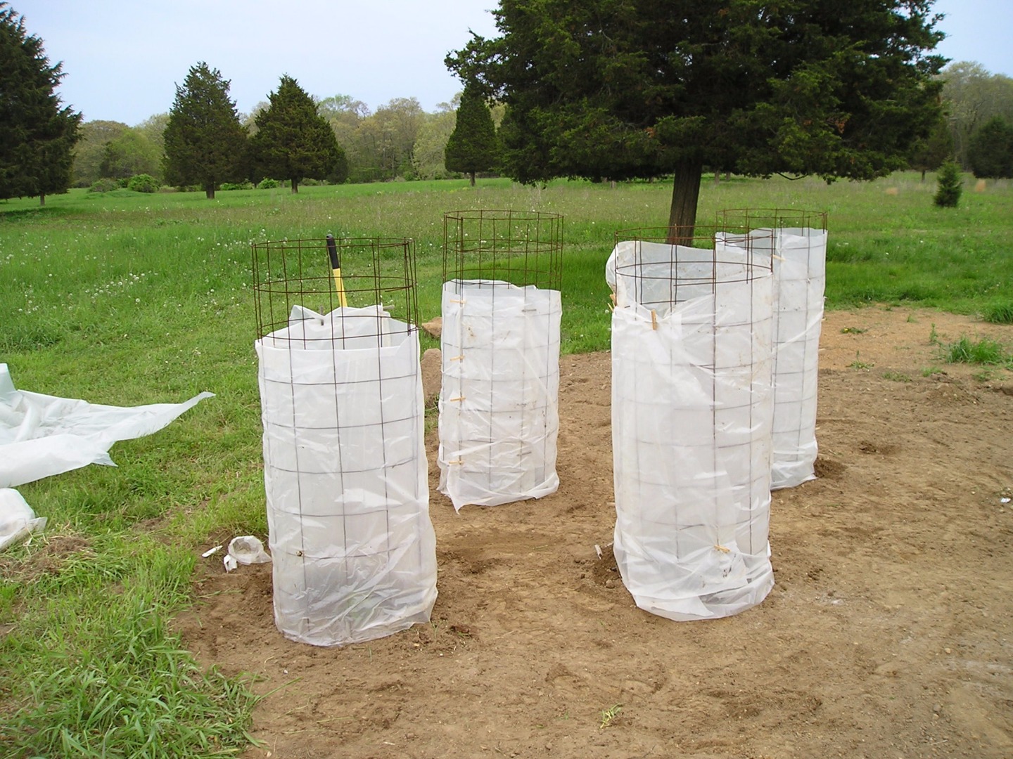 Make Your Own Tomato Cages 4 Steps (with Pictures) Instructables