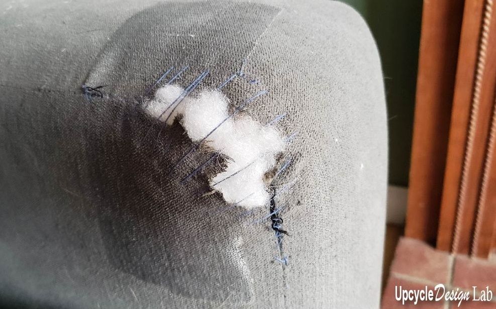 chewed up couch
