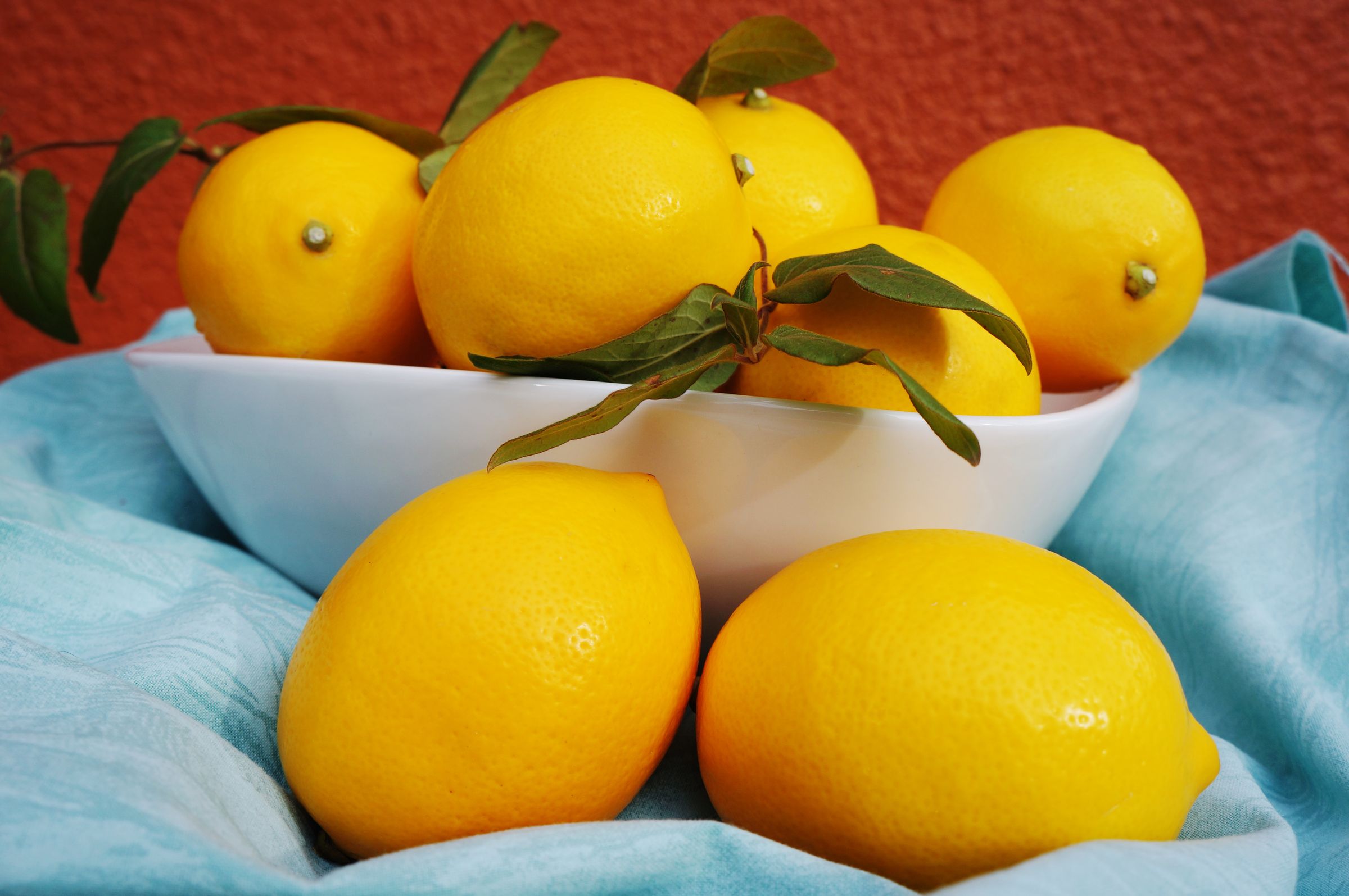 How to Freeze Meat Dairy Meyers Lemons Herbs Green Chilis 9 Steps