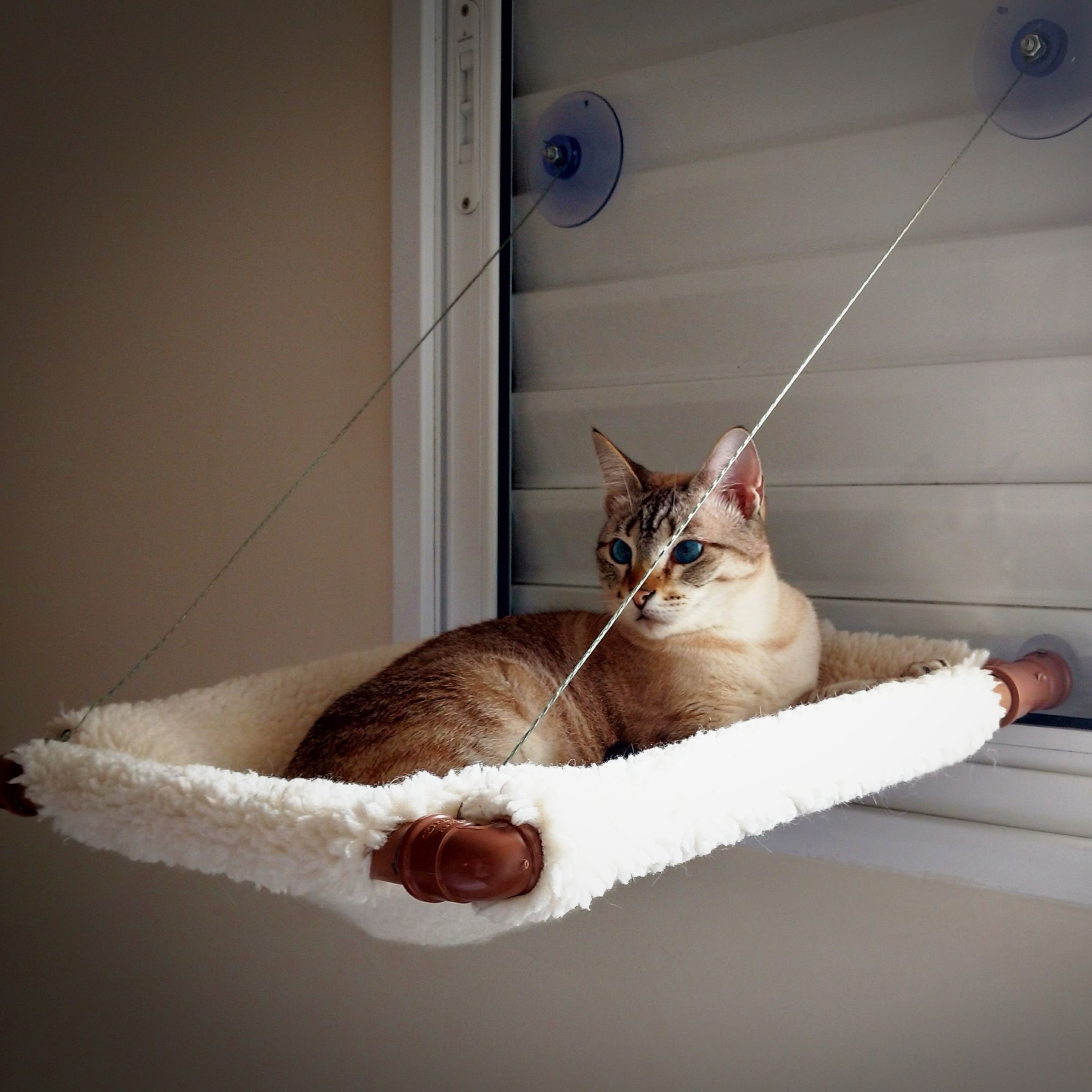 Glass Mounted Hanging Cat Bed 8 Steps With Pictures Instructables