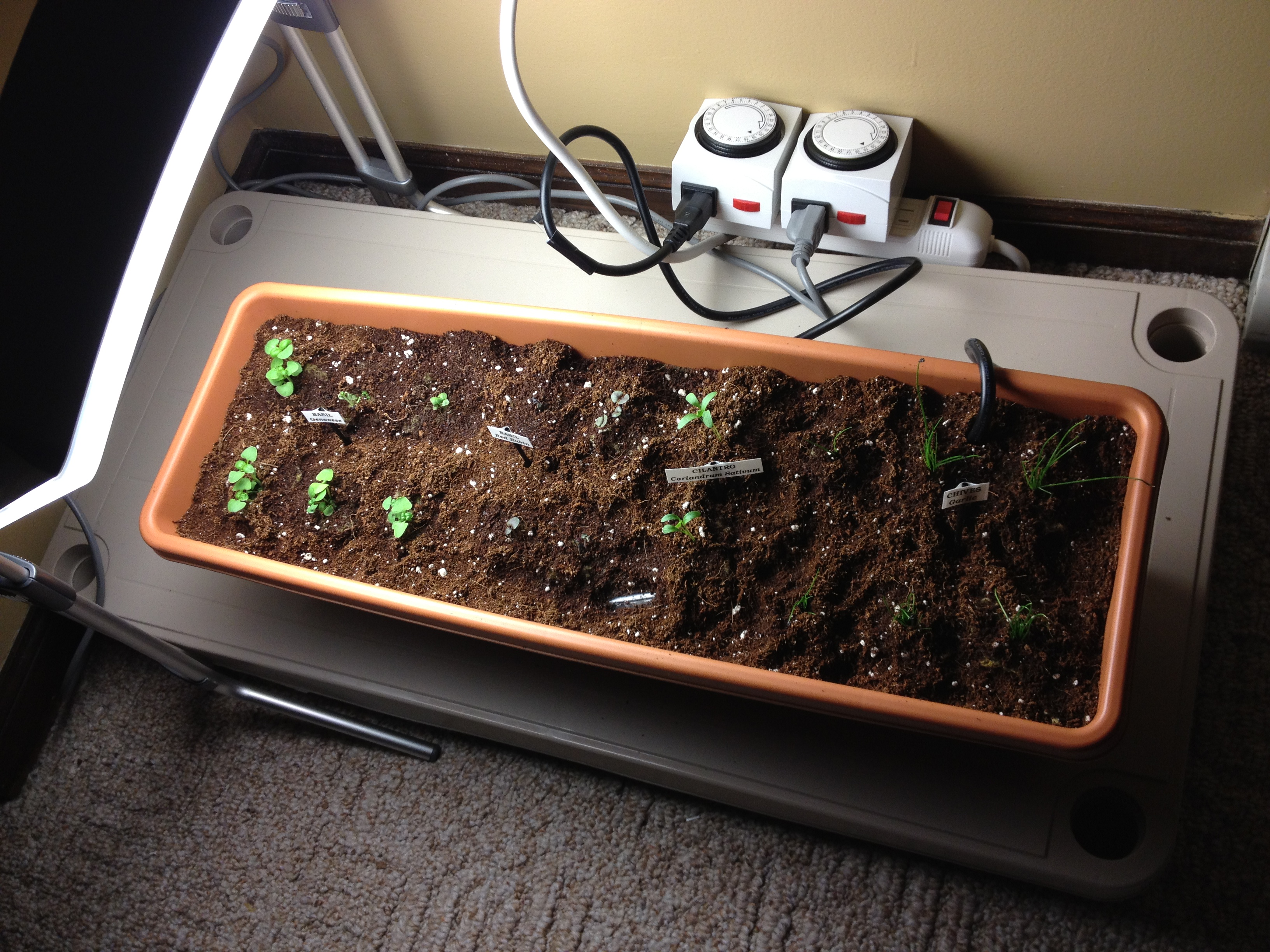 Self Watering Window Boxes 8 Steps (with Pictures) Instructables