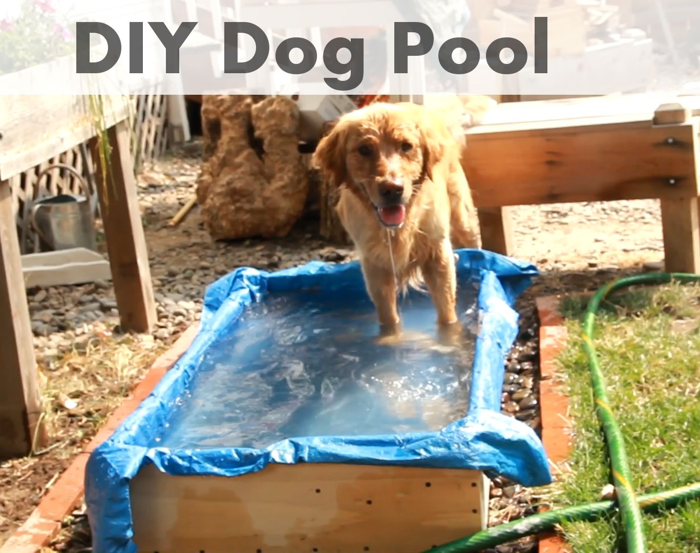DIY Dog Pool 5 Steps (with Pictures) Instructables