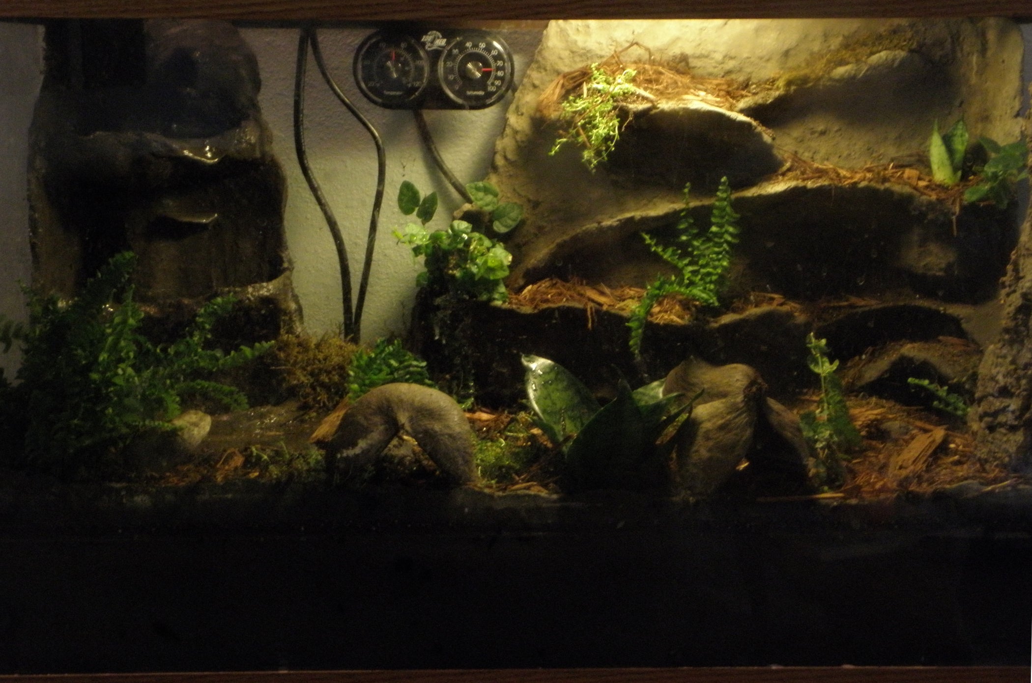 Terrarium / Vivarium Waterproof Rock Work for Frogs and Amphibians 10