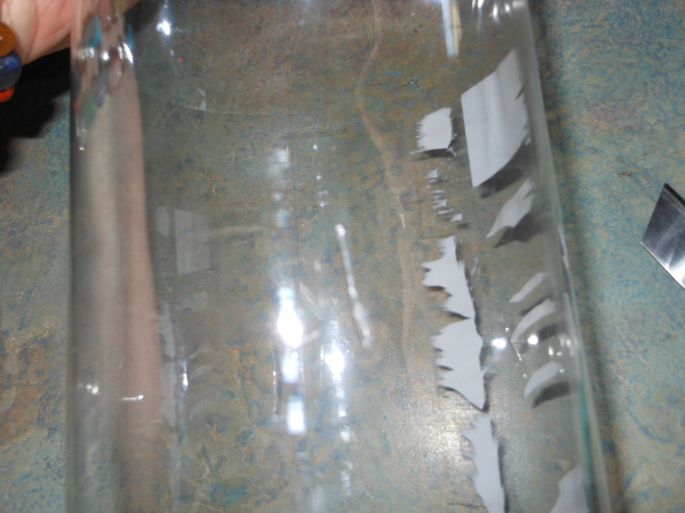 DIY Drip Irrigation Bottles 8 Steps Instructables