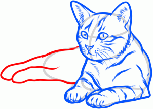 Poses Cat Laying Down Drawing - Janeiro Wallpaper