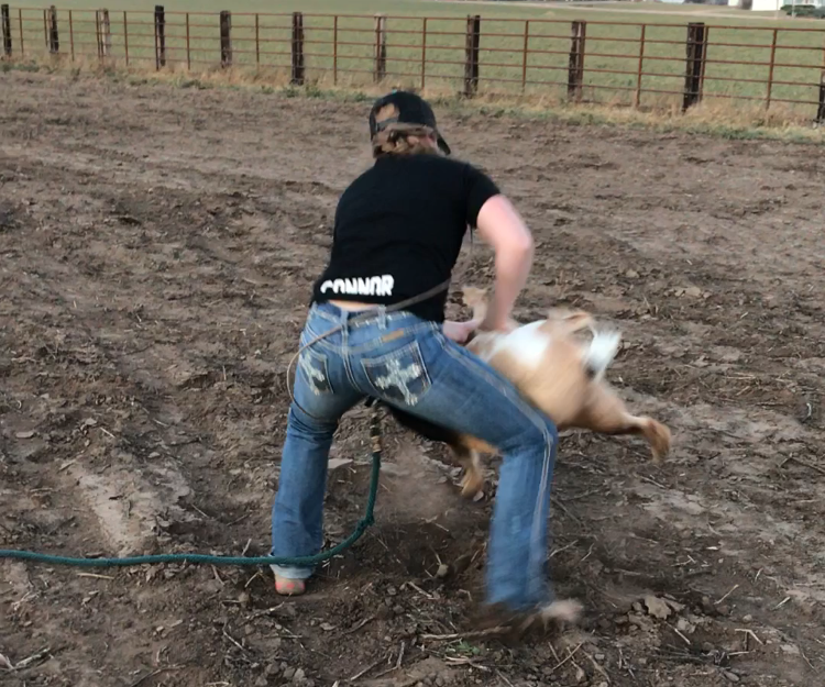 How to Goat Tie 12 Steps Instructables