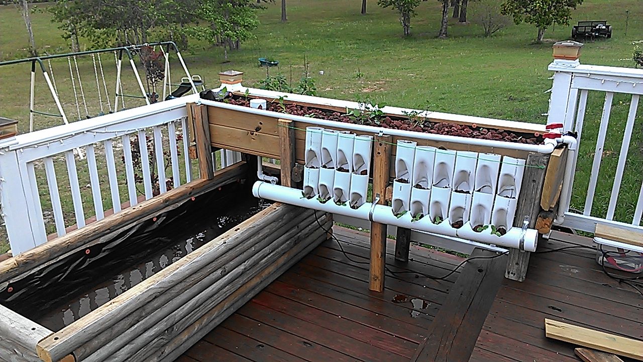 Easy Aquaponics From "mostly" Repurposed Materials 5 Steps (with