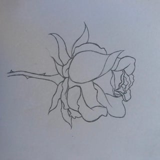 How To Draw A Red Rose 9 Steps Instructables