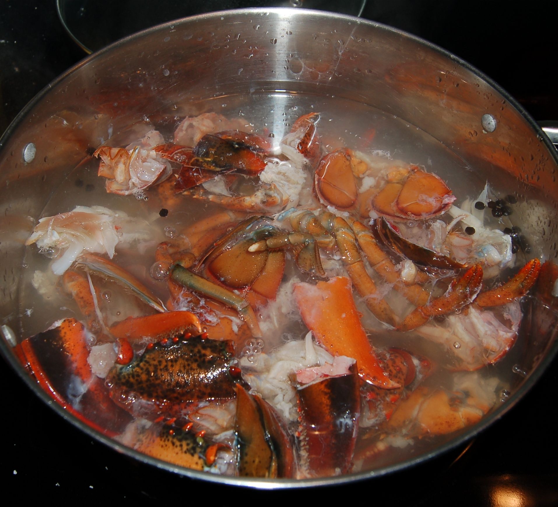 Lobster Consomme With Lobster Mousse Noodles 5 Steps Instructables