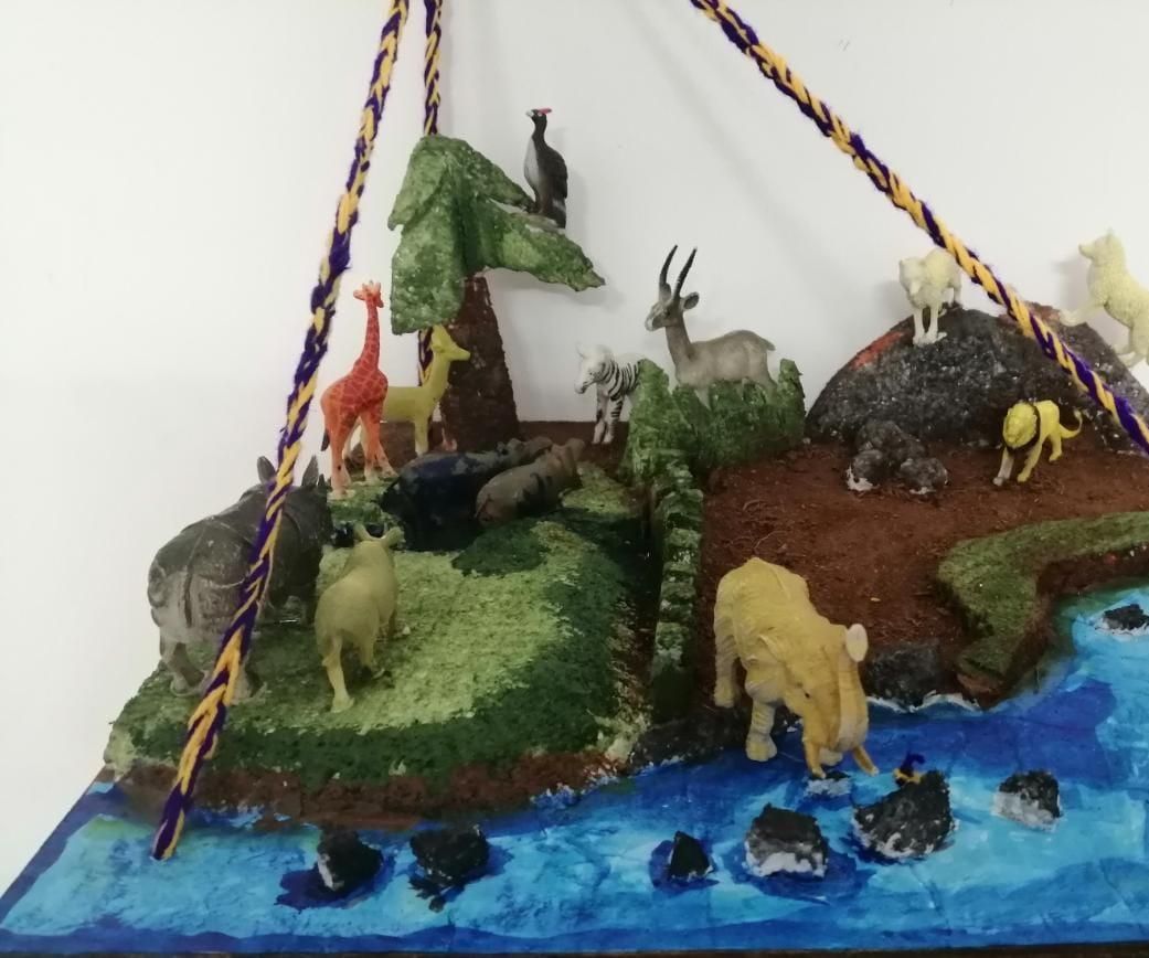 Build "Forest in Home"