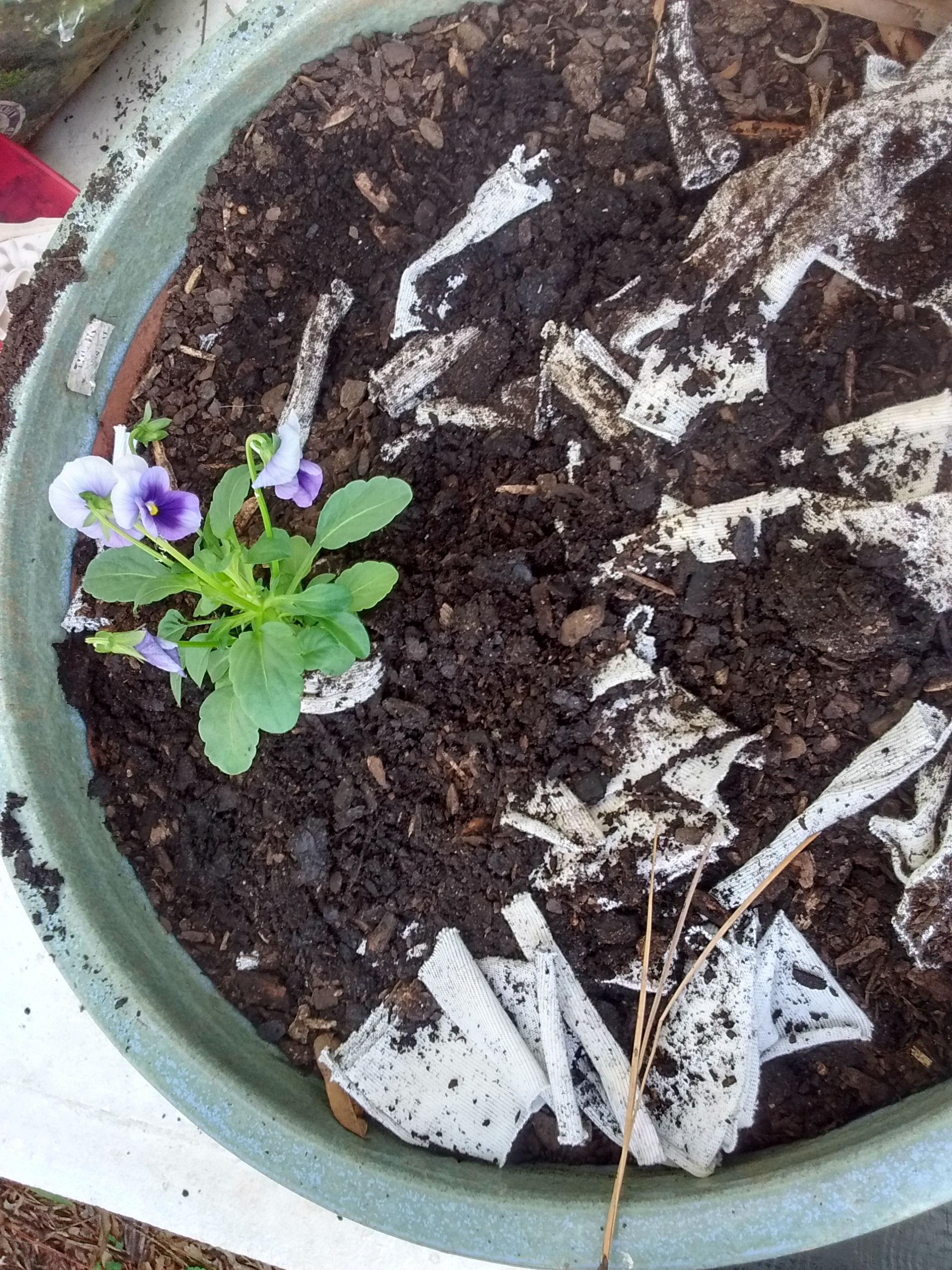 How to Compost Old Cotton TShirts 6 Steps (with Pictures