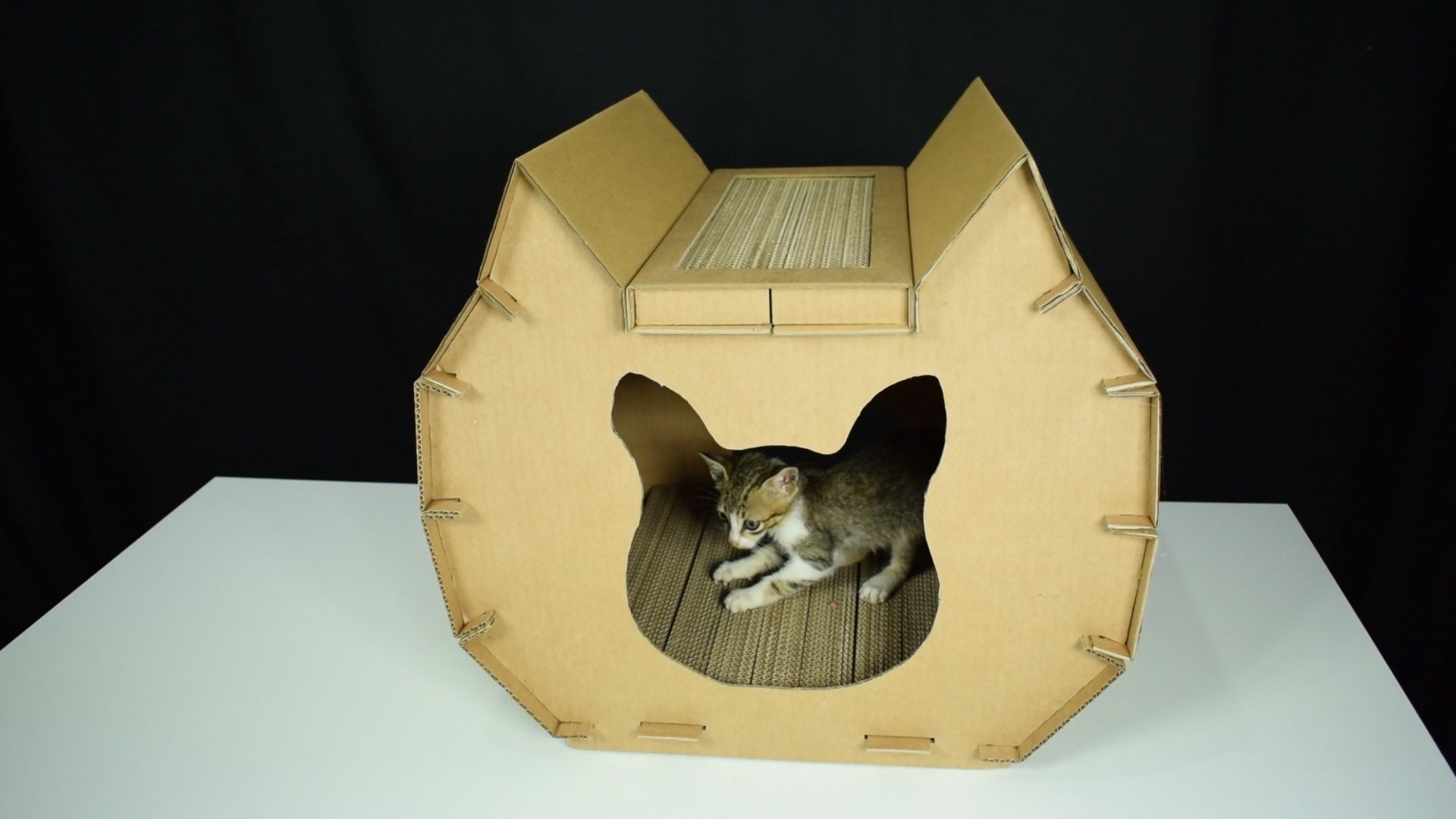 Cardboard Cat House With Scratcher 4 Steps (with Pictures
