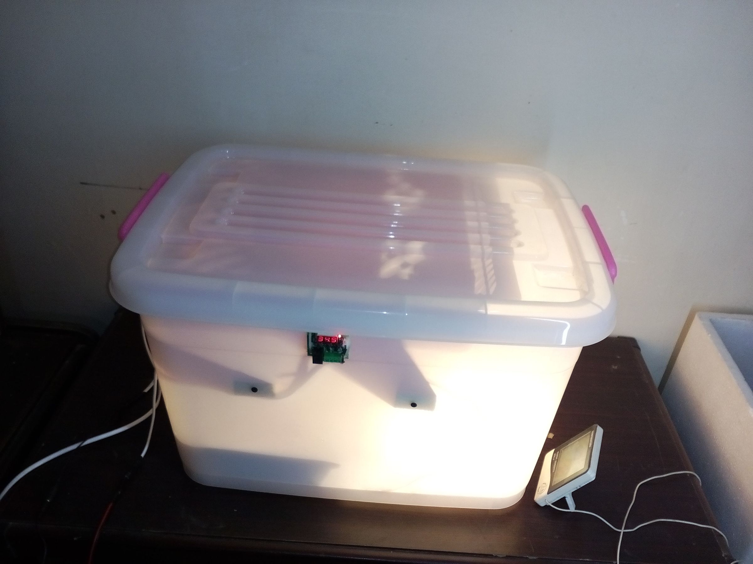 How to Make Homemade Incubator Egg Hatcher at Home 5 Steps (with