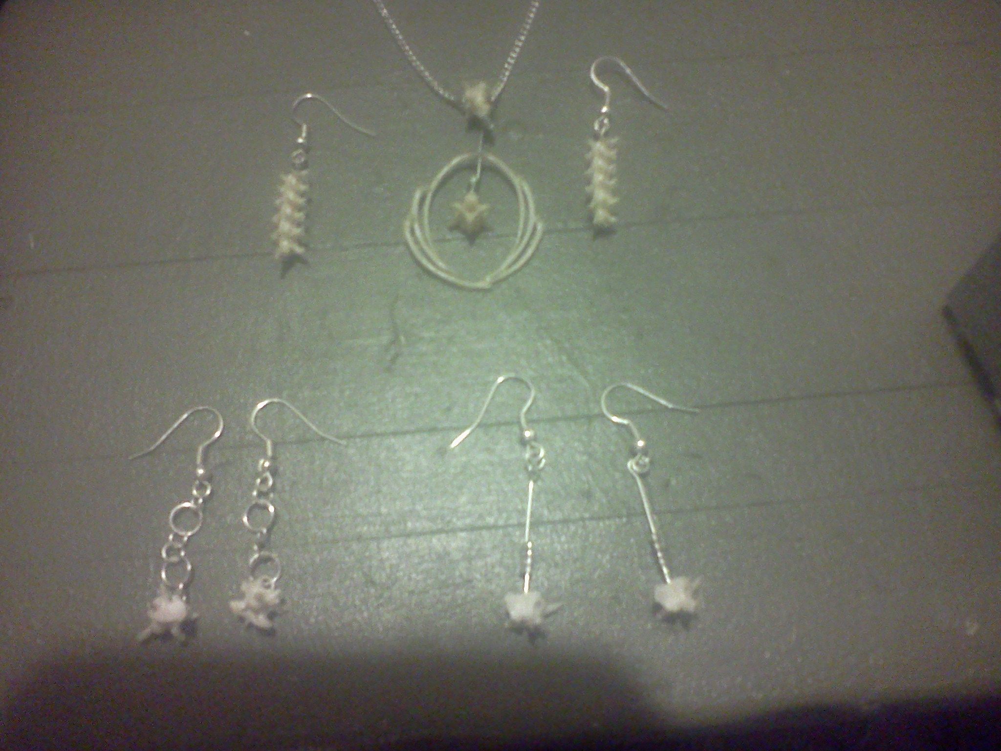 Making Snake Bone Jewelry 9 Steps Instructables