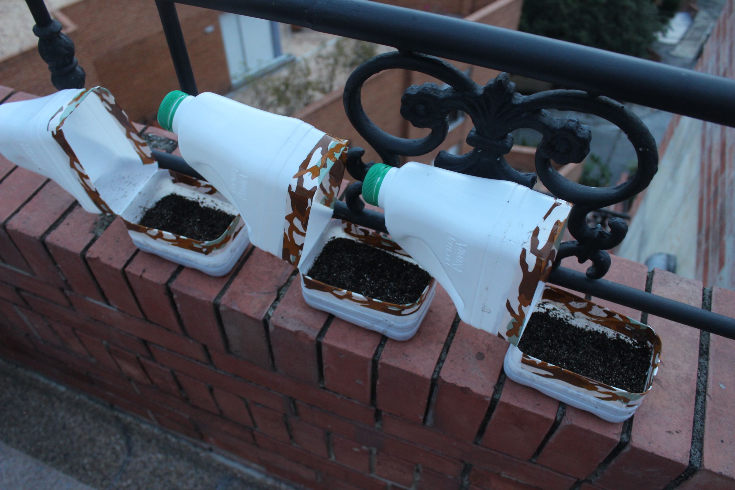 Mini Milk Jug Greenhouse 3 Steps (with Pictures) Instructables