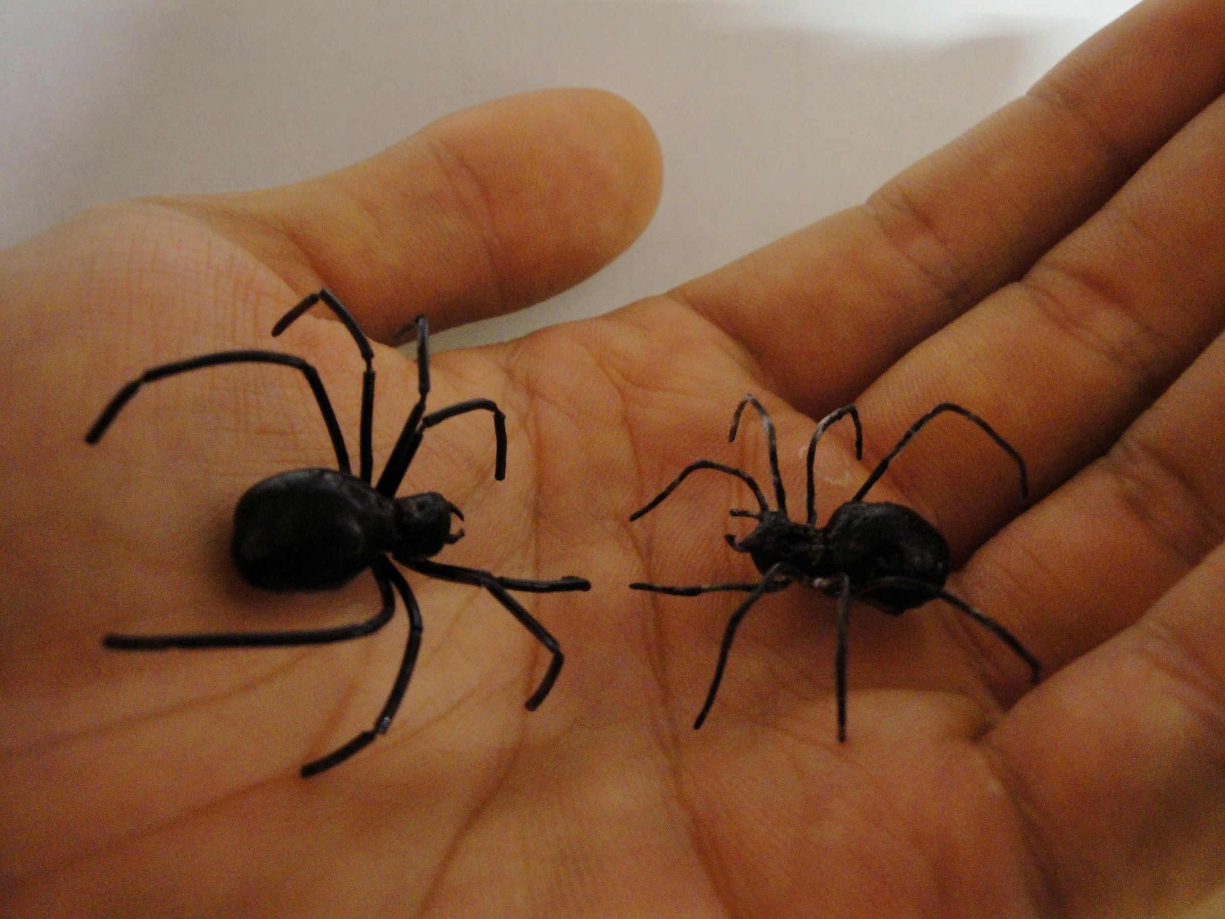 two sisters toy style spider prank