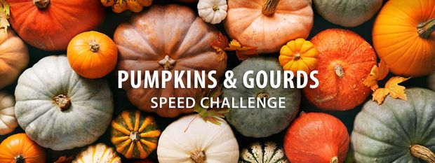 Pumpkins & Gourds Speed Challenge
